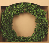 Preserved Boxwood Wreath, Large