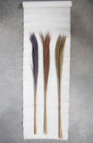 Dried Feather Grass Bunch